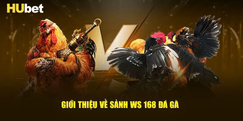 Tìm hiểu về sảnh Ws168 đá gà nổi tiếng ở Hubet